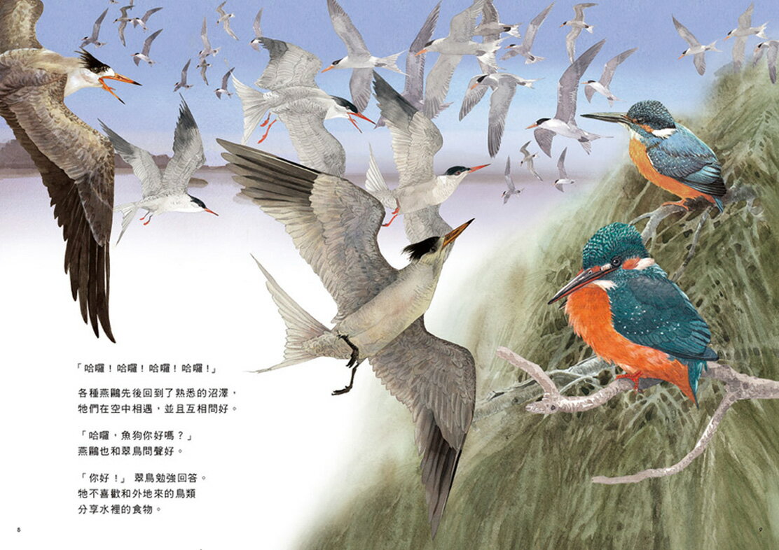 劉伯樂生態系列繪本套書（共三冊）：《哈囉！你好！濕地裡的野鳥 3