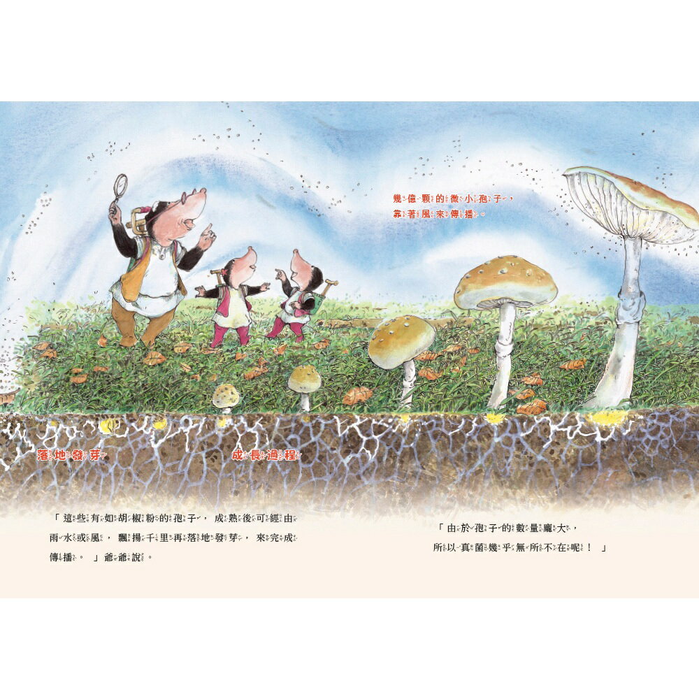三隻小鼴鼠：夏日森林套書（共3冊）《螢光山林》＋《蟬鳴聲林》 5