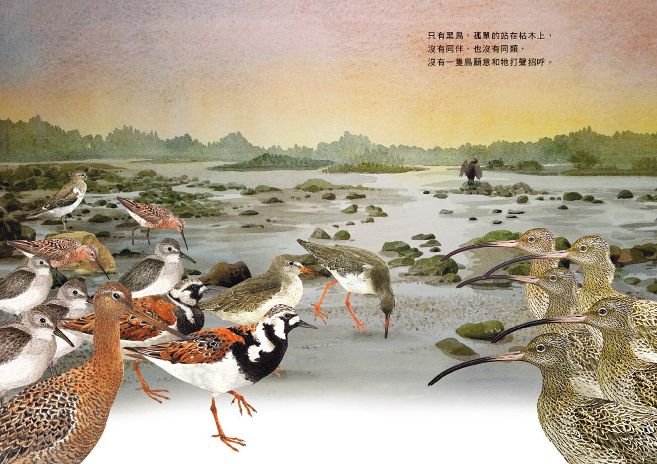 劉伯樂生態系列繪本套書（共三冊）：《哈囉！你好！濕地裡的野鳥 4