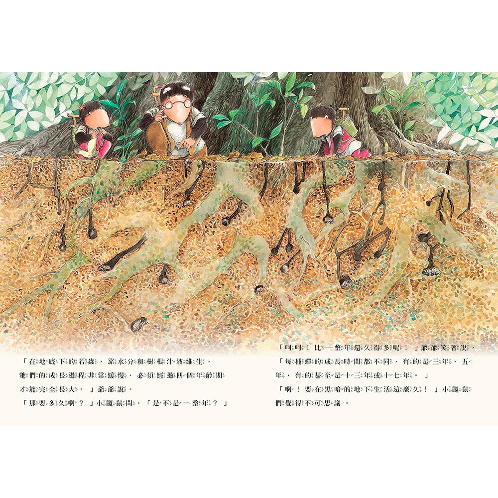 三隻小鼴鼠：夏日森林套書（共3冊）《螢光山林》＋《蟬鳴聲林》 4
